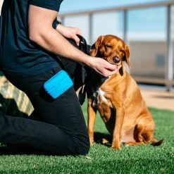 Popware Pooch Pouch Treatbag -Geschäft Für Tierbedarf popware pooch pouch treatbag 164698 2000 none