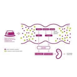 Porus One -Geschäft Für Tierbedarf porus one 134455 1000 none