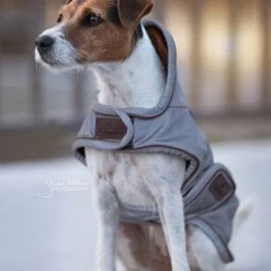 Kentucky Dog Coat Reflective & Waterrepellent -Geschäft Für Tierbedarf prod 15746 219013 0500 none