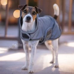 Kentucky Dog Coat Reflective & Waterrepellent -Geschäft Für Tierbedarf prod 15746 219014 0500 none