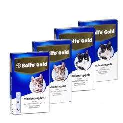 Bolfo Gold Kat -Geschäft Für Tierbedarf product bolfo gold kat none 4 1467098417 70443