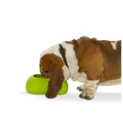 Buster Incredibowl 12 Buster Incredibowl -Geschäft Für Tierbedarf product buster incredibowl none 4 1479720007 80827