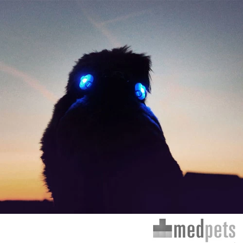 Curli Luumi 8 Curli Luumi - Afbeelding 6