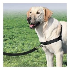PetSafe Easywalk Tuigje -Geschäft Für Tierbedarf product easywalk tuigje none 4 1477994349 79564