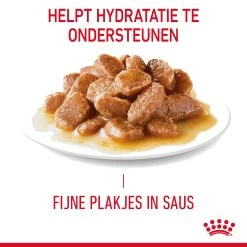 Royal Canin Digestive Care In Gravy - Kattenvoer -Geschäft Für Tierbedarf rUL1NOqw0a3UObo7KF304Pj5p1XkPe metaUm95YWwtQ2FuaW4tSGFpcmJhbGwtQ2FyZS1pbi1HcmF2eV8wMS5qcGc