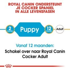Royal Canin Cocker Puppy - Hondenvoer -Geschäft Für Tierbedarf royal canin cocker puppy hondenvoer 138205 1000 none