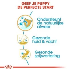 Royal Canin Cocker Puppy - Hondenvoer -Geschäft Für Tierbedarf royal canin cocker puppy hondenvoer 138223 1000 none