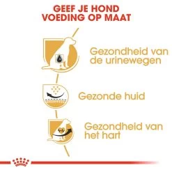 Royal Canin Dalmatian Adult - Hondenvoer -Geschäft Für Tierbedarf royal canin dalmatian adult hondenvoer 138520 1000 none