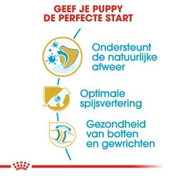 Royal Canin German Shepherd Puppy- Hondenvoer -Geschäft Für Tierbedarf royal canin german shepherd puppy hondenvoer 138835 1000 none