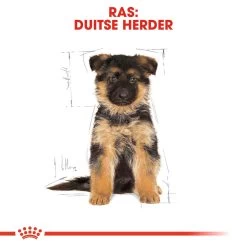 Royal Canin German Shepherd Puppy- Hondenvoer -Geschäft Für Tierbedarf royal canin german shepherd puppy hondenvoer 138844 1000 none