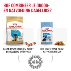 Royal Canin German Shepherd Puppy- Hondenvoer -Geschäft Für Tierbedarf royal canin german shepherd puppy hondenvoer 196607 1000 none