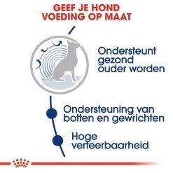 Royal Canin Maxi Ageing 8+ - Hondenvoer -Geschäft Für Tierbedarf royal canin maxi ageing 8 hondenvoer 128711 1000 none