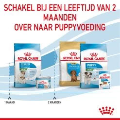 Royal Canin Mini Starter Mother & Babydog - Hondenvoer -Geschäft Für Tierbedarf royal canin mini starter mother babydog hondenvoer 206993 2000 none