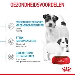 Royal Canin Mini Starter Mother & Babydog - Hondenvoer -Geschäft Für Tierbedarf royal canin mini starter mother babydog hondenvoer 206999 2000 none