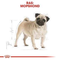 Royal Canin Pug Adult - Hondenvoer -Geschäft Für Tierbedarf royal canin pug adult hondenvoer 139804 1000 none