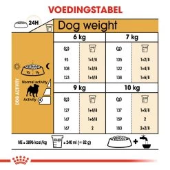 Royal Canin Pug Adult - Hondenvoer -Geschäft Für Tierbedarf royal canin pug adult hondenvoer 139840 1000 none