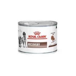 Royal Canin Recovery -Geschäft Für Tierbedarf royal canin recovery 159638 1000 none