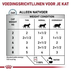 Royal Canin Skin & Coat Wet -Geschäft Für Tierbedarf royal canin skin coat wet 153631 1000 none