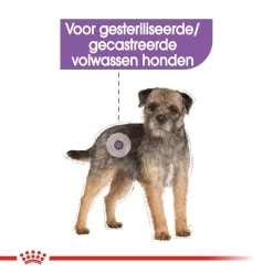 Royal Canin Sterilised Wet - Hondenvoer 15 Royal Canin Sterilised Wet - Hondenvoer -Geschäft Für Tierbedarf royal canin sterilised wet hondenvoer 131561 1000 none