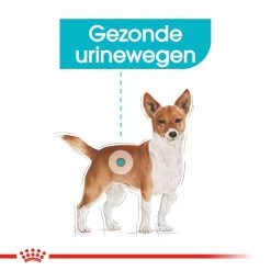 Royal Canin Urinary Care Wet - Hondenvoer -Geschäft Für Tierbedarf royal canin urinary care wet hondenvoer 131930 1000 none