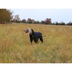 RukkaPets Protect Overall Zwart -Geschäft Für Tierbedarf rukkapets protect overall zwart 216401 2000 none