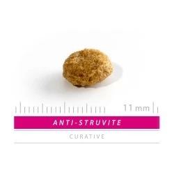 SANIMED Anti Struvite Dog 12 SANIMED Anti Struvite Dog -Geschäft Für Tierbedarf sanimed anti struvite dog 158498 1500 none