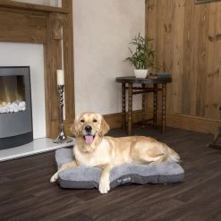 Boneguard Rawhide Bones -Geschäft Für Tierbedarf scruffs cosy mattress 209366 1500 none