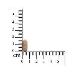 Sensipharm Pulmitranq - Hond -Geschäft Für Tierbedarf sensipharm pulmitranq hond 174559 1000 none