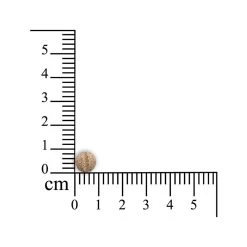 Sensipharm Sneeze Aid Kat -Geschäft Für Tierbedarf sensipharm sneeze aid kat 174685 1000 none