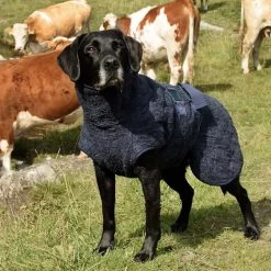 Siccaro WetDog SupremePro 2.0 -Geschäft Für Tierbedarf siccaro wetdog supremepro 190159 1000 none