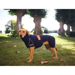 Siccaro WetDog SupremePro 2.0 -Geschäft Für Tierbedarf siccaro wetdog supremepro 20 216996 2000 none