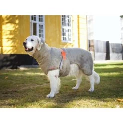 Siccaro WetDog SupremePro 2.0 -Geschäft Für Tierbedarf siccaro wetdog supremepro 20 216997 2000 none