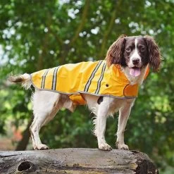 Sötnos Hondenregenjas -Geschäft Für Tierbedarf stnos hondenregenjas 130475 0500 none