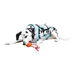 Suitical DRY Cooling Vest -Geschäft Für Tierbedarf suitical dry cooling vest 149882 2000 none