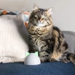 Sureflap Sure Petcare Hub -Geschäft Für Tierbedarf sure petcare hub 219855 2000 none