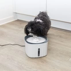 Trixie Drinkfontein Bloem -Geschäft Für Tierbedarf trixie drinkfontein bloem 205304 1500 none