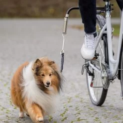 Trixie Fiets-Set -Geschäft Für Tierbedarf trixie fiets set 178264 1000 none