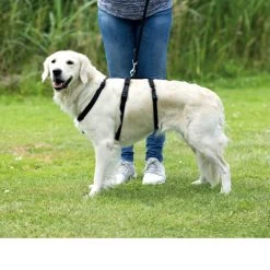 Trixie Stay Hondentuig -Geschäft Für Tierbedarf trixie stay hondentuig 95231 0500 none