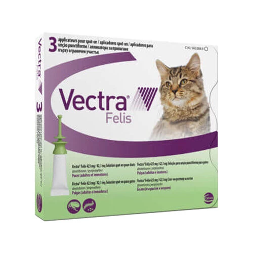 Vectra Felis
