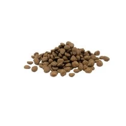 Versele-Laga Opti Life Sensitive -Geschäft Für Tierbedarf versele laga opti life sensitive 199883 0500 none