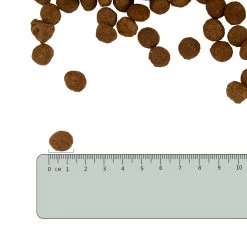 Vetality Metabolic & Mobility - Hondenvoer 19 Vetality Metabolic & Mobility - Hondenvoer -Geschäft Für Tierbedarf vetality metabolic mobility hondenvoer 182353 2000 none