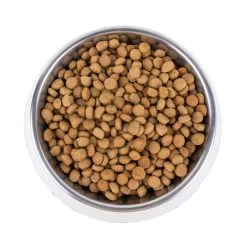 Vetality Metabolic & Mobility - Hondenvoer 20 Vetality Metabolic & Mobility - Hondenvoer -Geschäft Für Tierbedarf vetality metabolic mobility hondenvoer 195275 1000 none