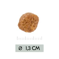 Vetality Metabolic & Mobility - Hondenvoer 17 Vetality Metabolic & Mobility - Hondenvoer -Geschäft Für Tierbedarf vetality metabolic mobility hondenvoer 195470 1000 none