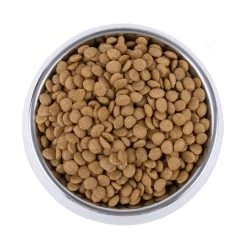 Vetality Skin Support - Hondenvoer -Geschäft Für Tierbedarf vetality skin support hondenvoer 195221 1000 none