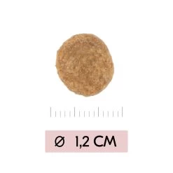 Vetality Skin Support - Hondenvoer -Geschäft Für Tierbedarf vetality skin support hondenvoer 195452 1000 none