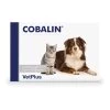 Vetplus Cobalin 1 Vetplus Cobalin -Geschäft Für Tierbedarf vetplus cobalin 60 capsules 134984 0500 none