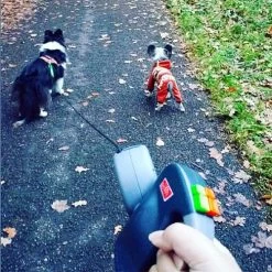 Wigzie Dual Doggie 3.0 -Geschäft Für Tierbedarf wigzi dual doggie 30 167845 0500 none