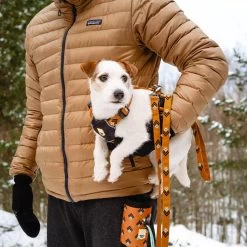 Woolly Wolf Sea To Summit Hondenriem -Geschäft Für Tierbedarf woolly wolf sea to summit hondenriem 194831 1000 none