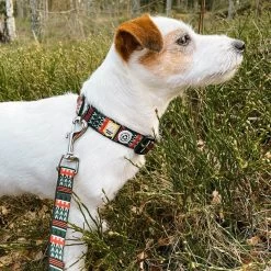 Woolly Wolf Woodland Hondenriem -Geschäft Für Tierbedarf woolly wolf woodland hondenriem 204539 1000 none