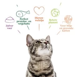 Yarrah Bio Cat Pouch - Chicken In Gravy -Geschäft Für Tierbedarf yarrah bio cat pouch chicken in gravy 200444 1000 none